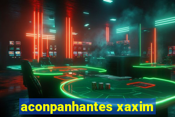 aconpanhantes xaxim